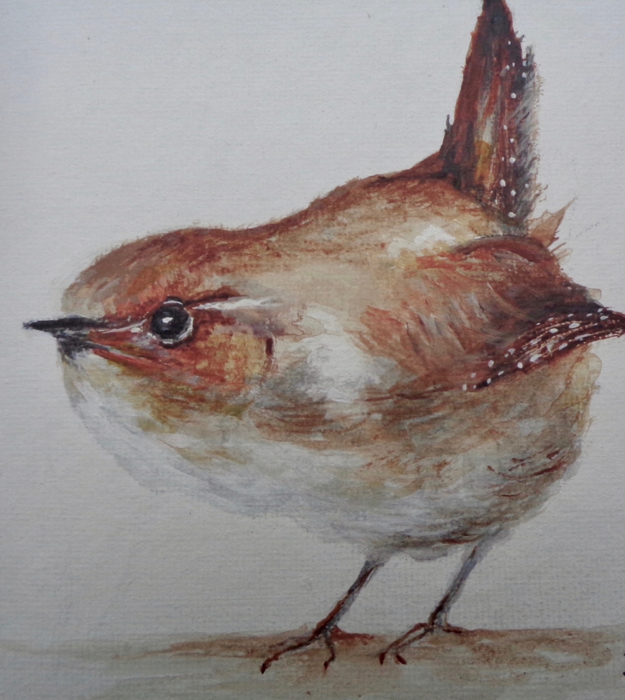 Jenny Wren