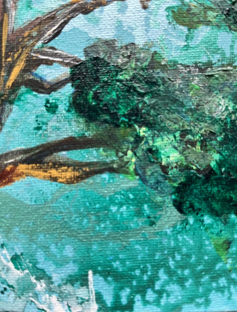 California pine