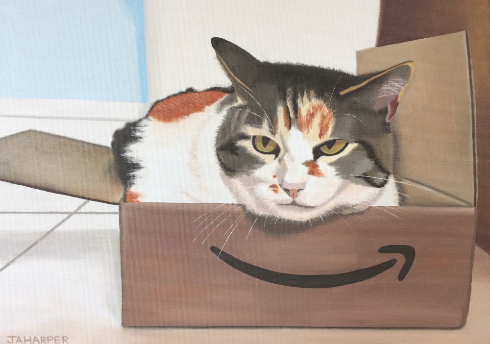 Cat In An Amazon Box