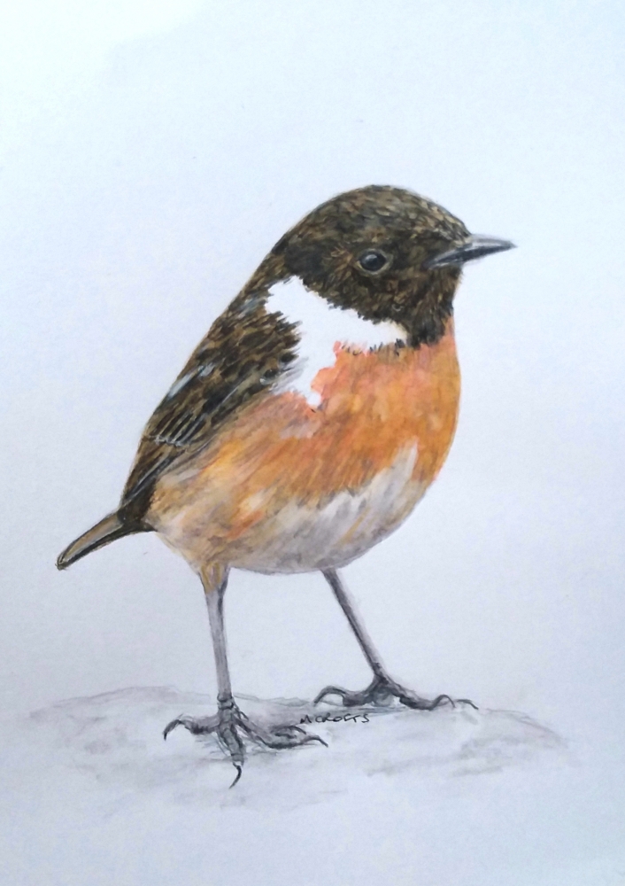Stonechat