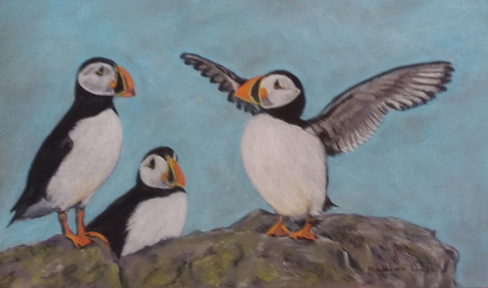 Puffins