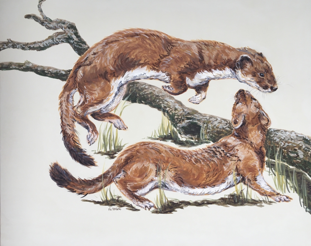 Rough and tumble 