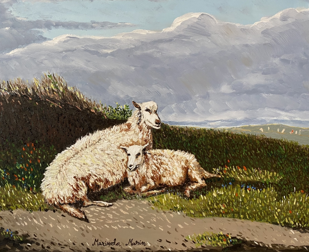 Sheep and lamb in a landscape