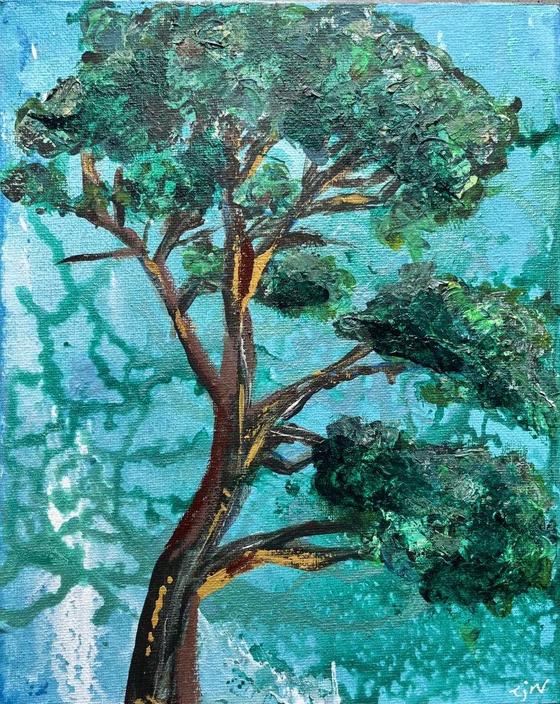 California pine
