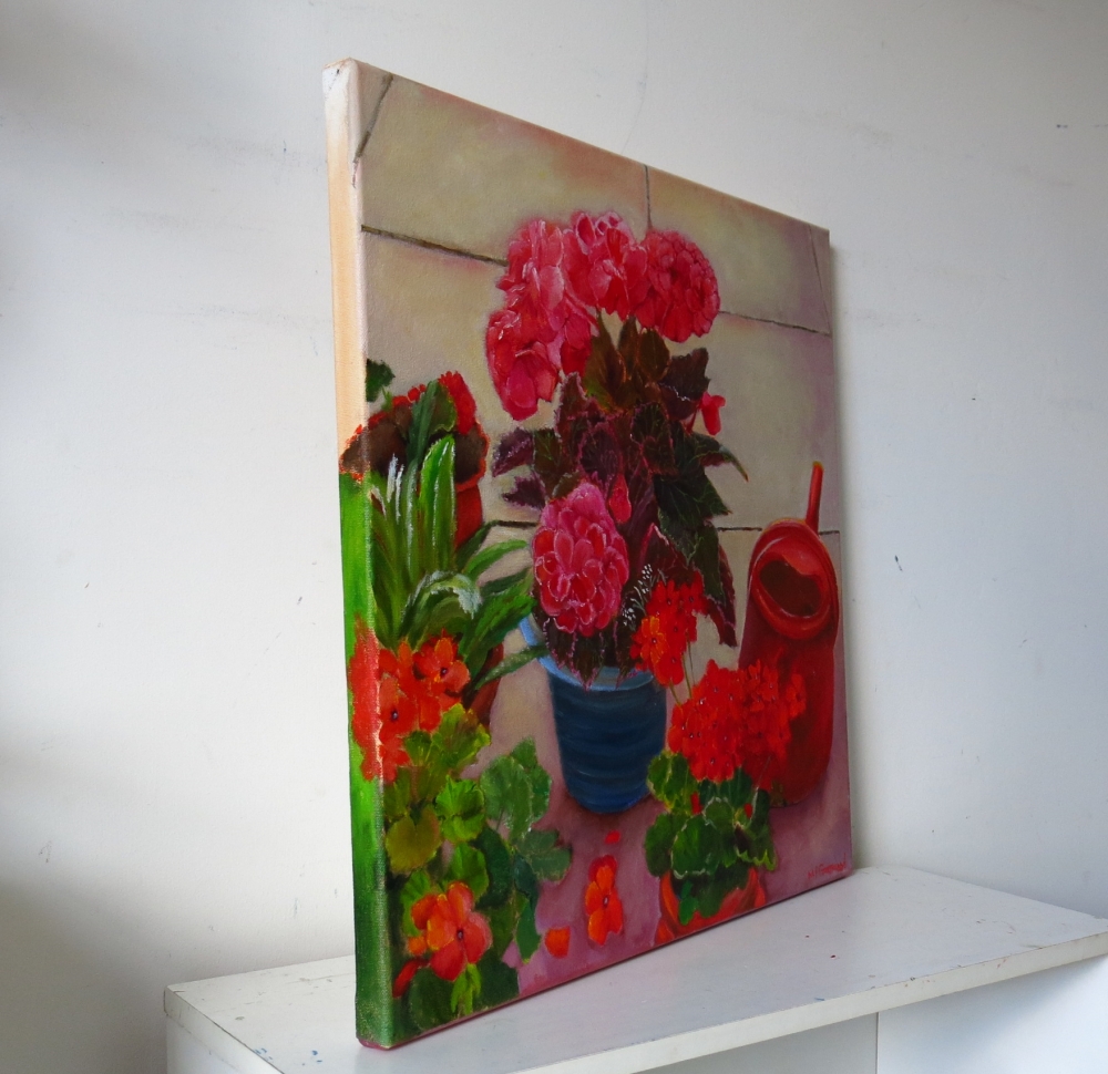 Begonias and Geraniums on my Patio