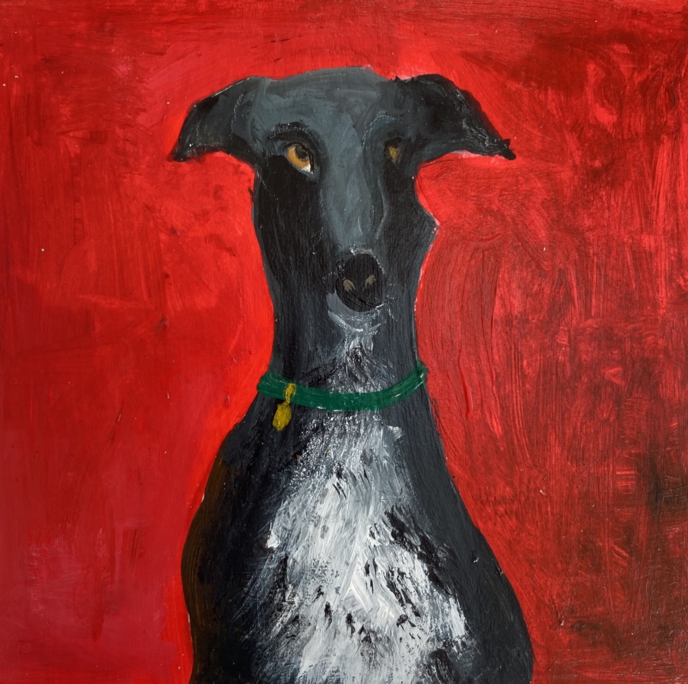 Posing Greyhound on Red framed