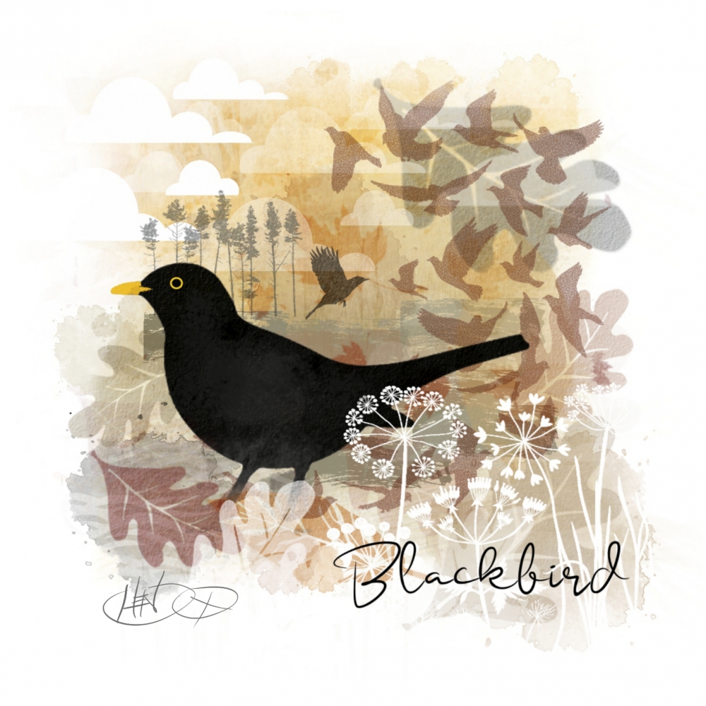 Blackbird (numbered and signed)