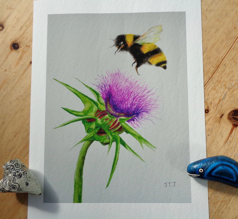 Bumblebee and Thistle - Limited Edition Fine Art Print