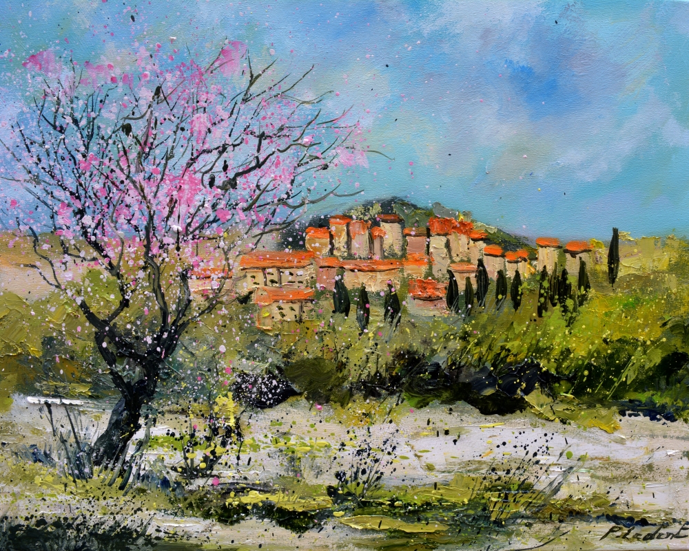 Blooming cherry tree in Provence