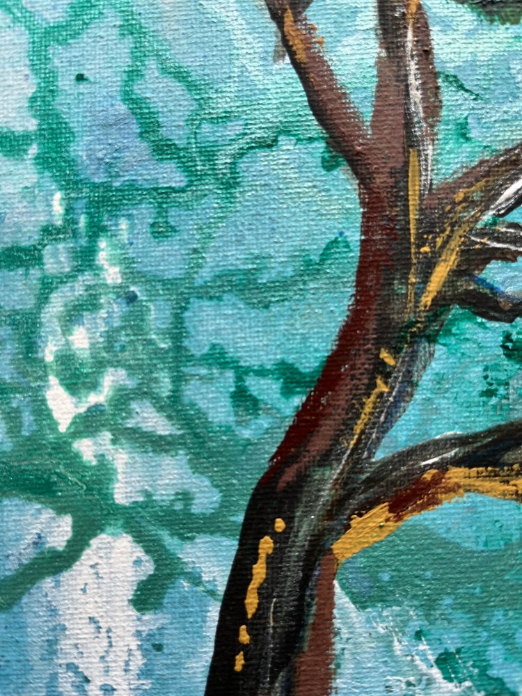 California pine