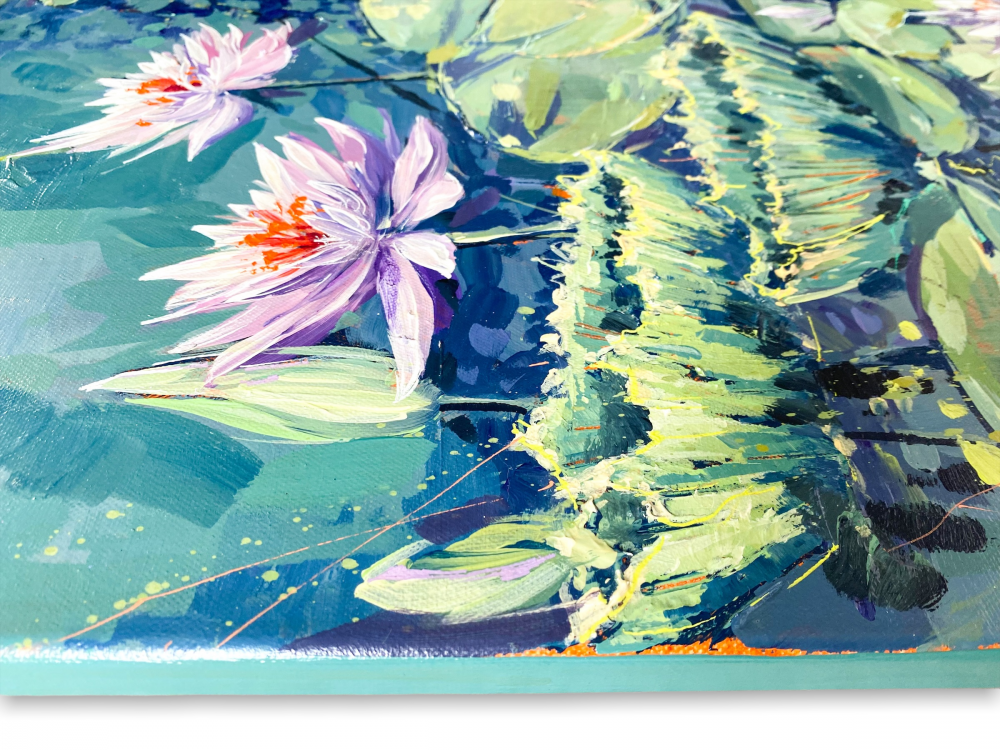 Flowering Water Lilies 3