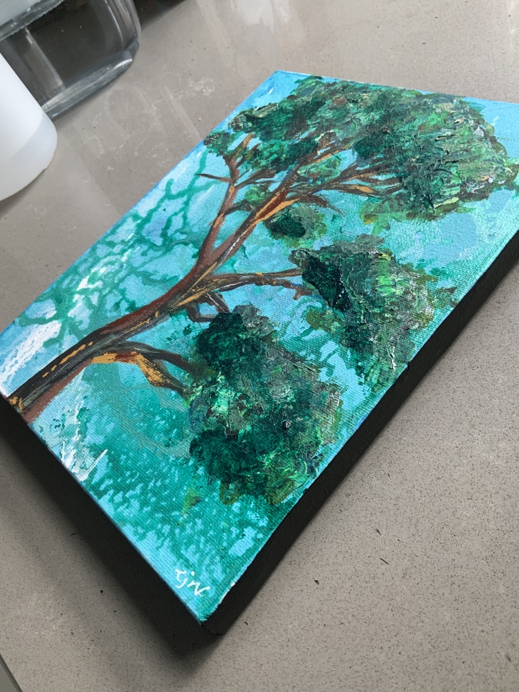 California pine