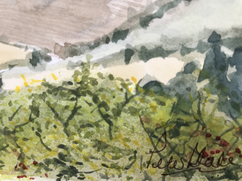 Italian landscape