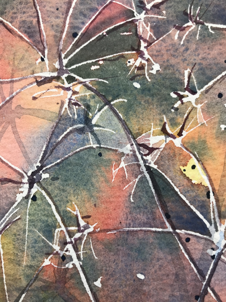 Seed heads