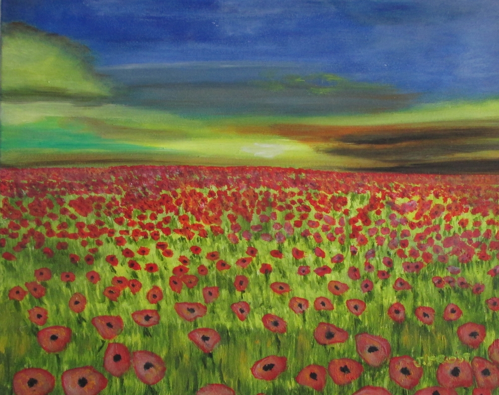 Sunset over the poppy field