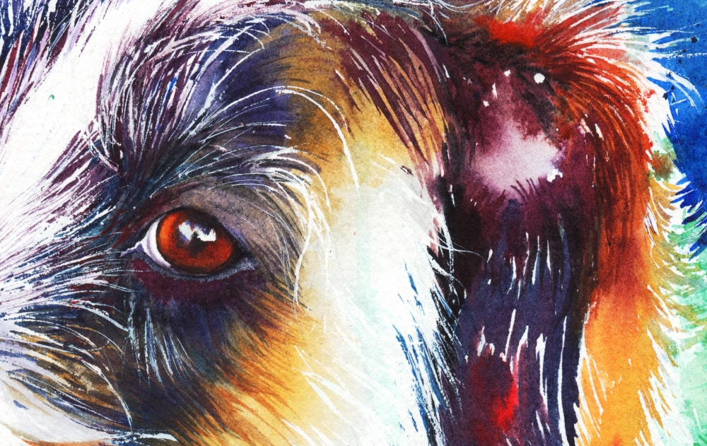 Life In The Old Dog Yet