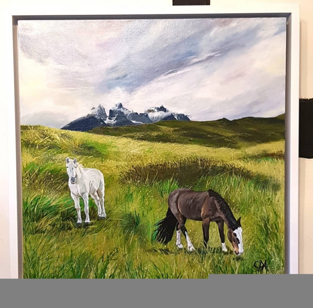 Patagonian Horses