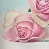 Three Pink Roses