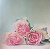 Three Pink Roses