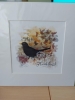 Blackbird (numbered and signed)