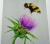 Bumblebee and Thistle - Limited Edition Fine Art Print