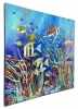 Tropical Fish 3