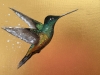 Hummingbird on gold