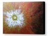 Starburst - colorful abstract aerial painting