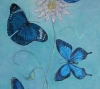 BLUE BUTTERFLIES