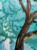 California pine