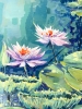 Flowering Water Lilies 3