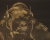 Gorilla in the groove (with punk headphones) (on canvas) - below minimum pricing