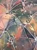 Seed heads