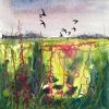 Swallows over Rosebay Willowherb Field framed