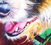 Life In The Old Dog Yet