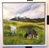 Patagonian Horses