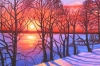 Winter Sunset