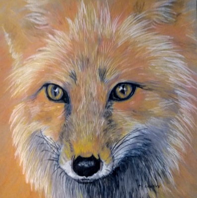Beautiful Fox