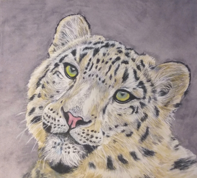 Snow Leopard 