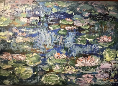 Pond of waterlillies 