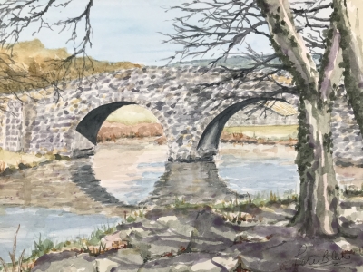 Dartmoor riverside