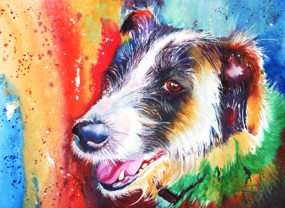 Life In The Old Dog Yet