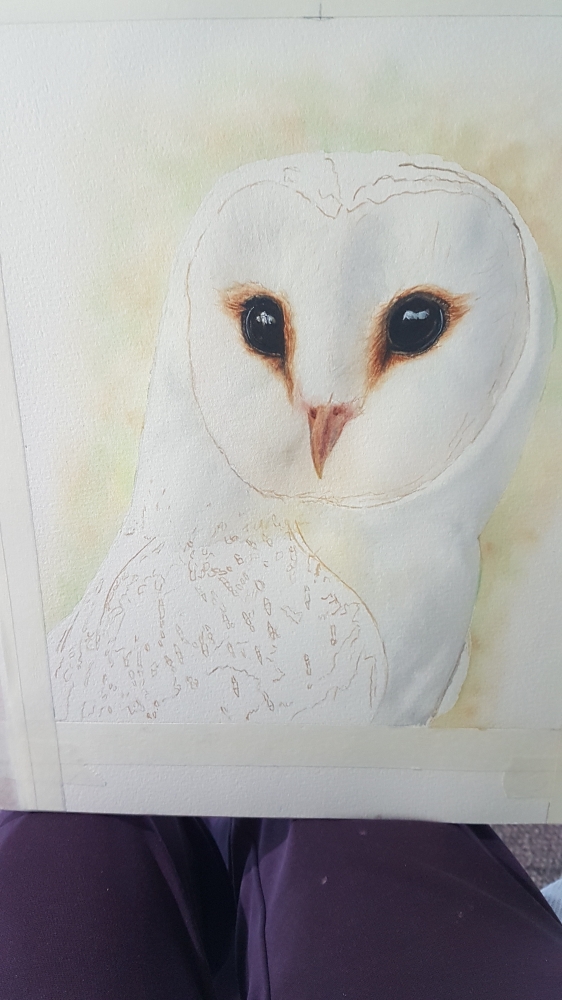 Barny the Barn Owl