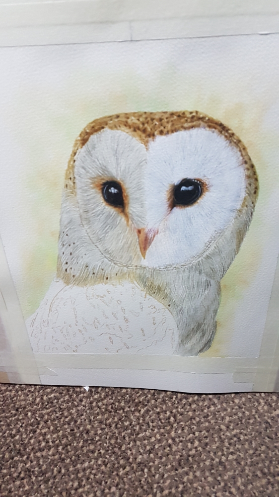 Barny the Barn Owl