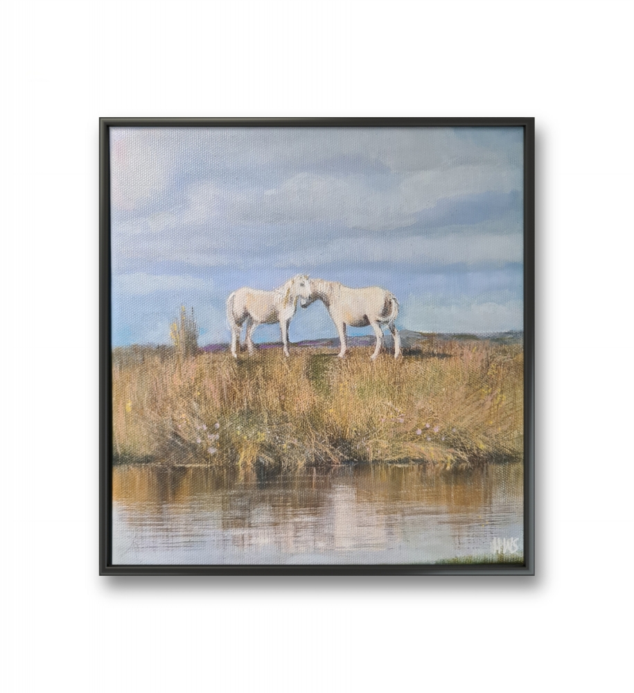 Ponies on the Longmynd 