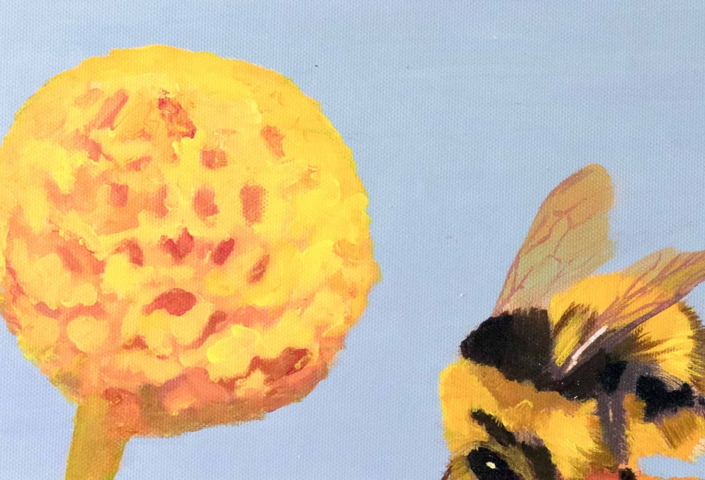 Bee on Orange ball flower 