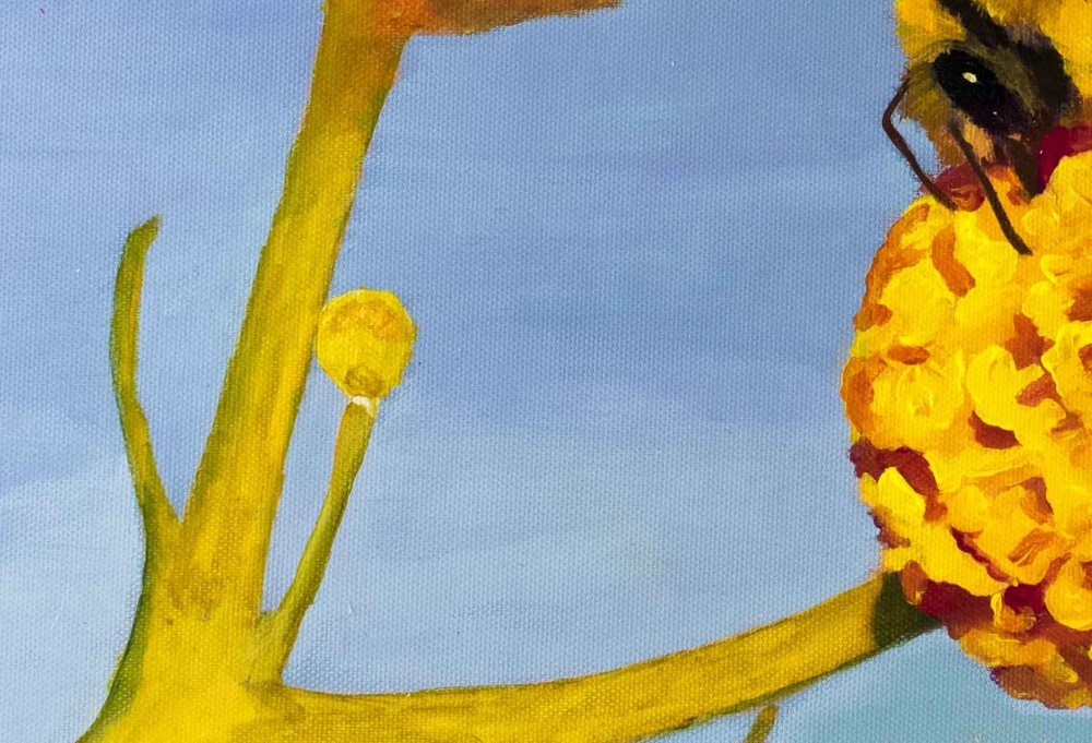 Bee on Orange ball flower 