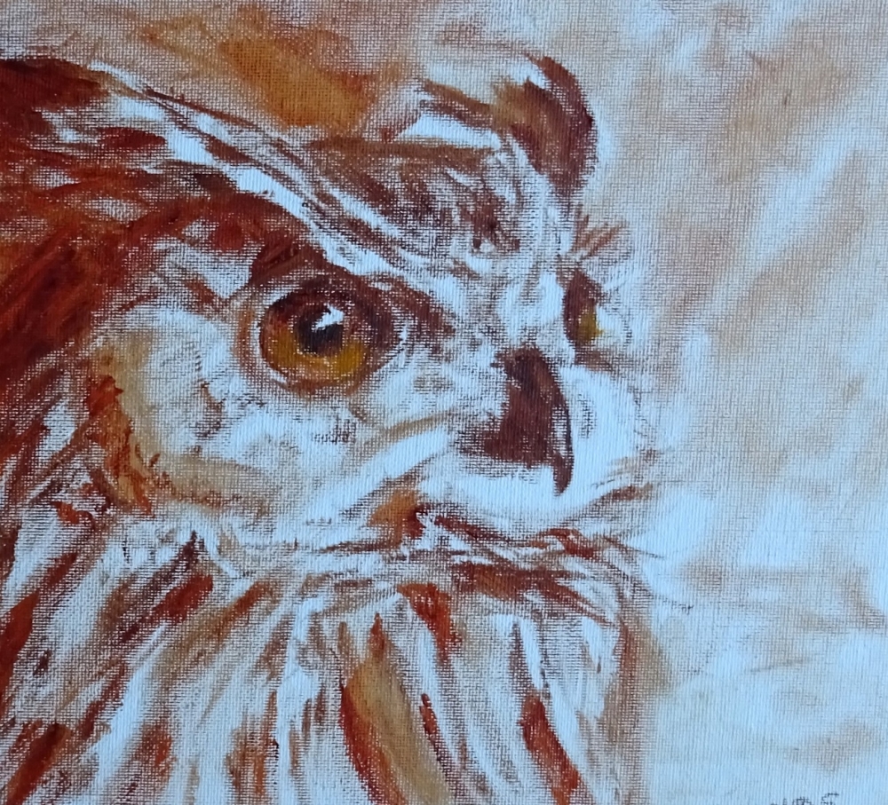 Owl