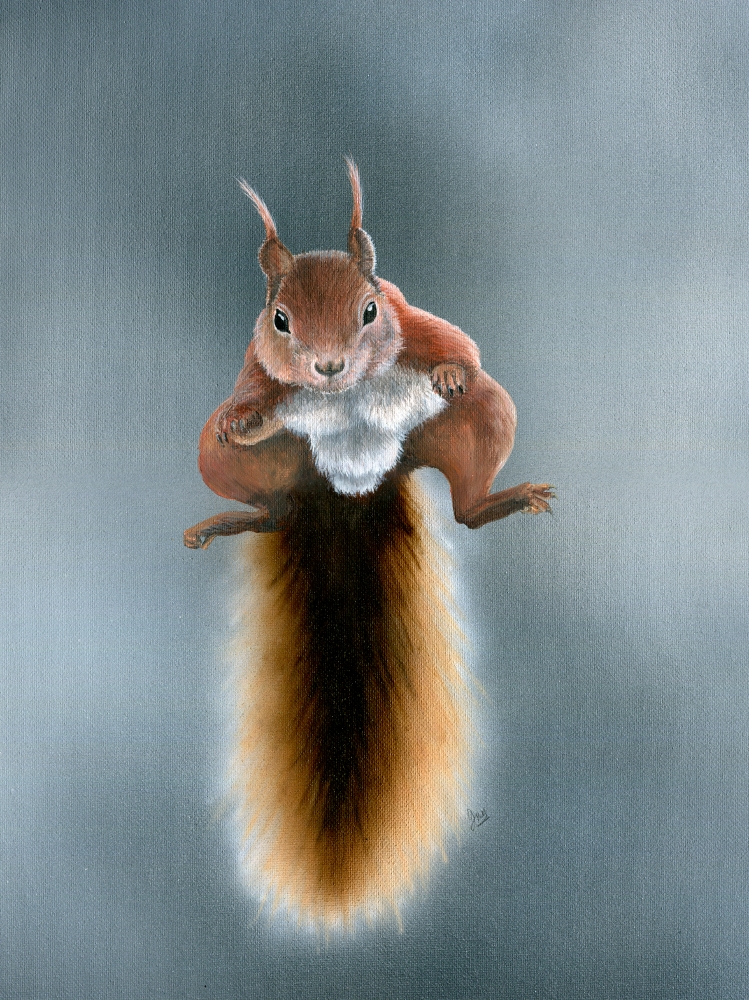 Flying Squirrel