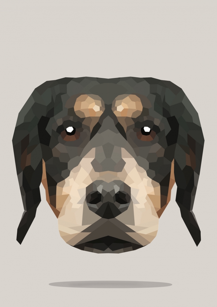 Mr. Dog